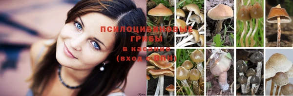 мдпв Балахна
