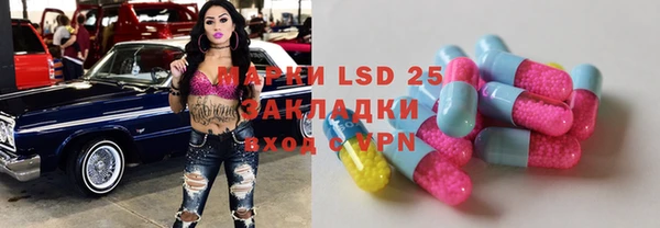 прущие грибы Аркадак