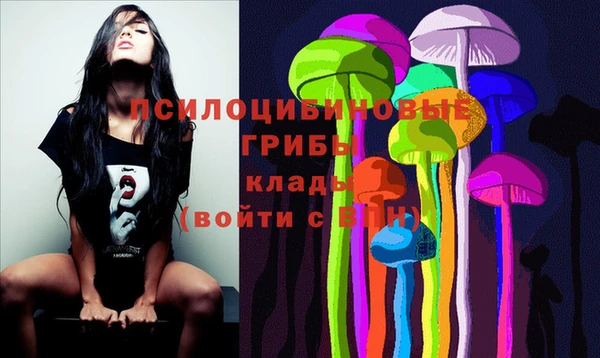 прущие грибы Аркадак