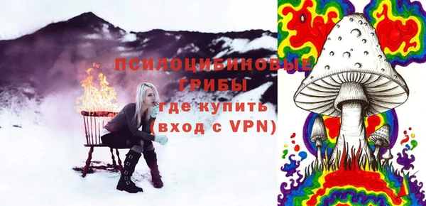 прущие грибы Аркадак