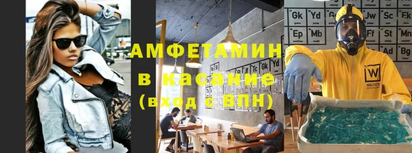 прущие грибы Аркадак