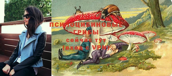прущие грибы Аркадак