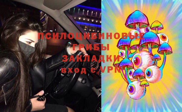 мдпв Балахна