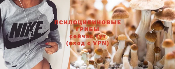 ешки Баксан
